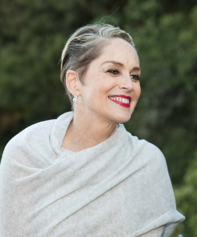 El look 'beauty' de Sharon Stone en la Hotbed Benefit Gala en Los Ángeles