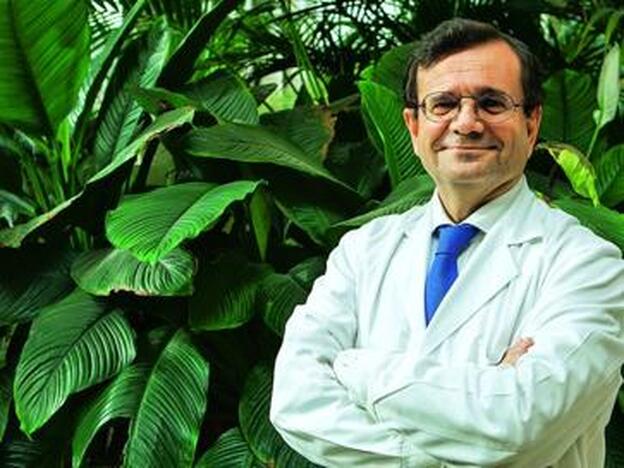 Dr. Juan Luis Alcázar es catedrático y codirector del departamento de Obstetricia de la Clínica Universidad de Navarra.