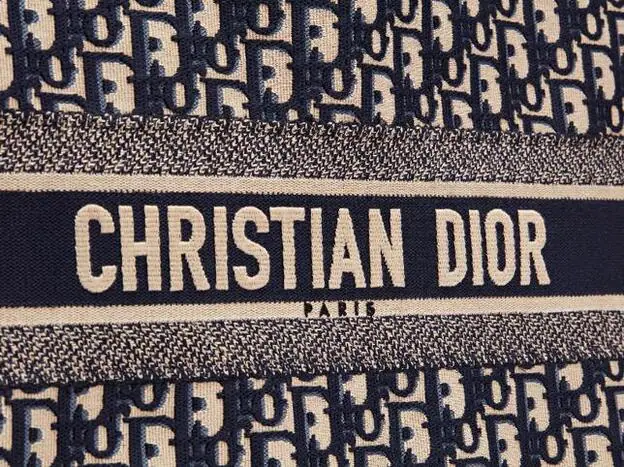 El bolso ''Book Tote de tela 'Dior Oblique' sobrebordada ya arrasa entre las 'instagramers' y famosas./Christian Dior.