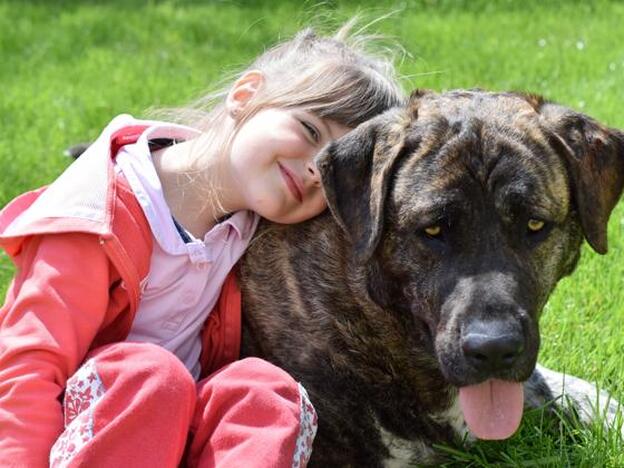 Una niña, con un perro./PIXABAY