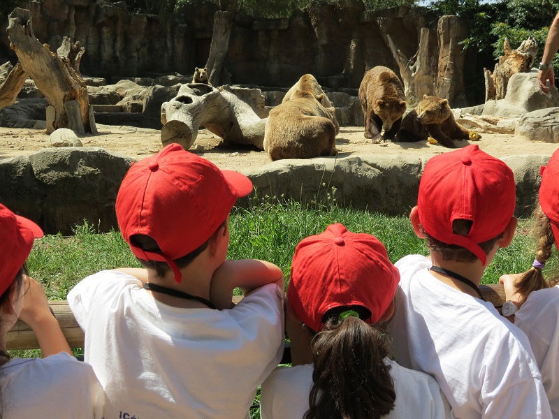 Campamento de verano en Zoo Aquarium de Madrid