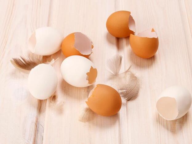 Huevos ecológicos./FOtolia