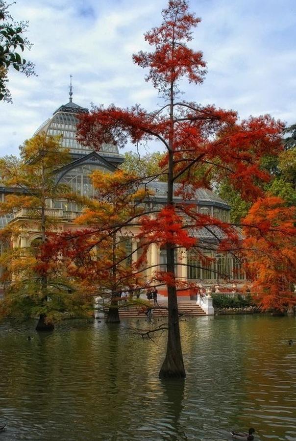 Escapadas para el puente de diciembre 2017: Madrid