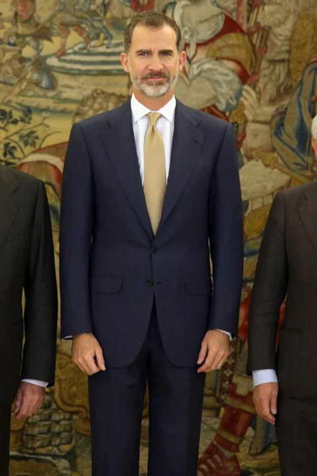 Rey Felipe VI durante una de sus audiencias en el Palacio de la Zarzuela./gtres