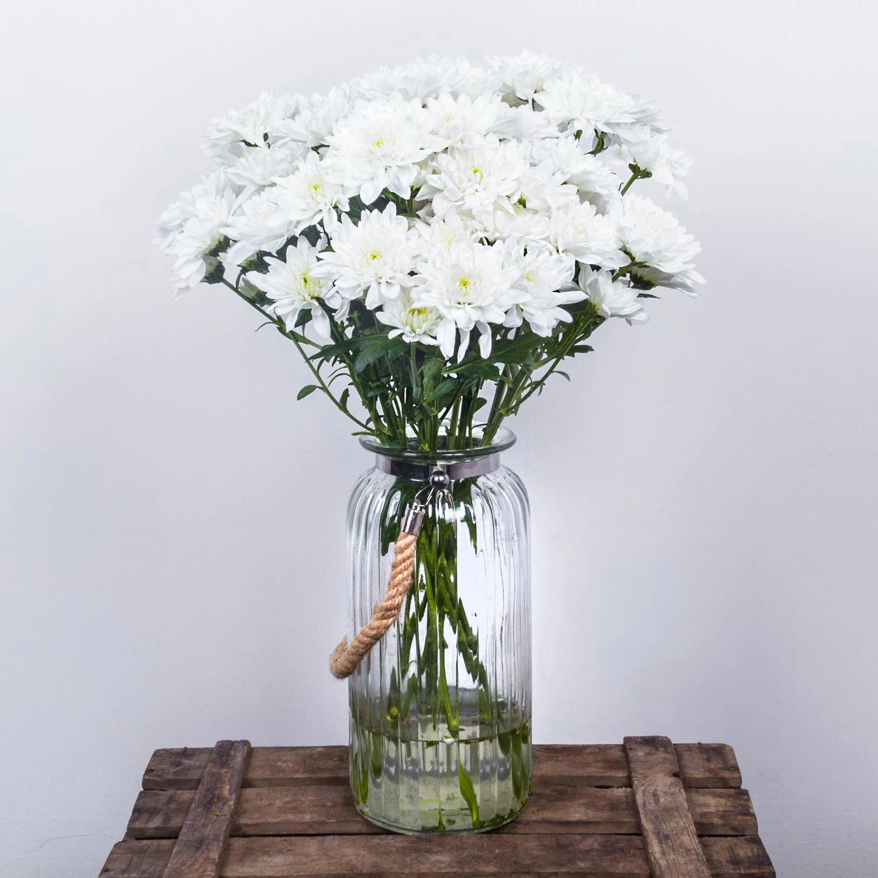 Flores para el Día de la Madre: crisantemos blancos