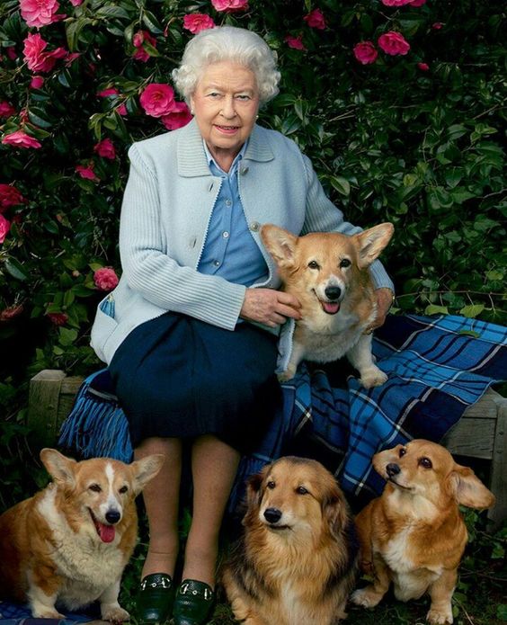 La gran historia de amor de Isabel II con sus 'corgies'