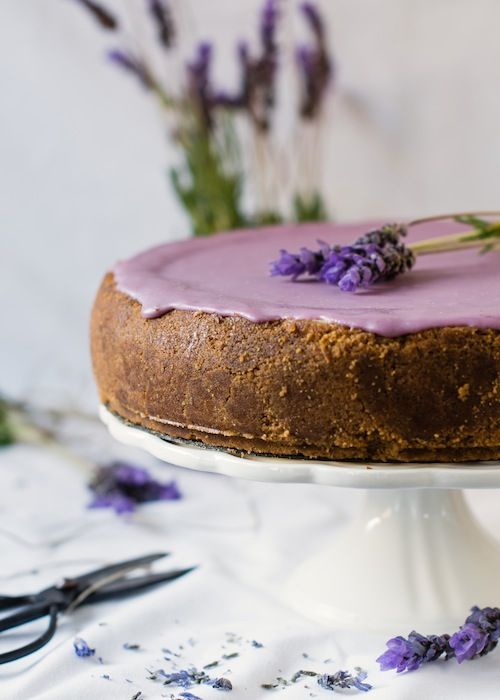 Tarta de queso con chocolate blanco y lavanda