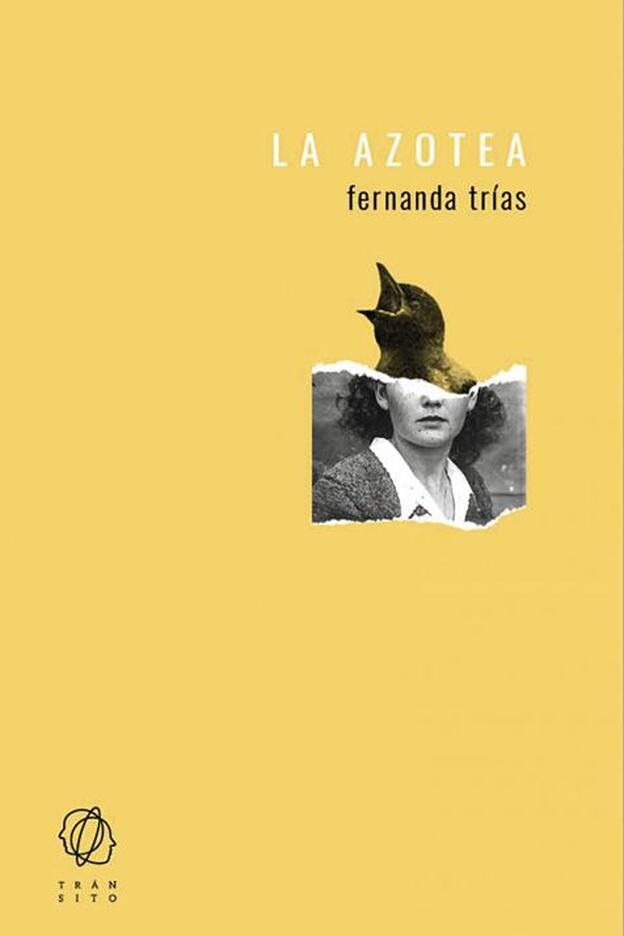 Portada del libro 'La azotea'.