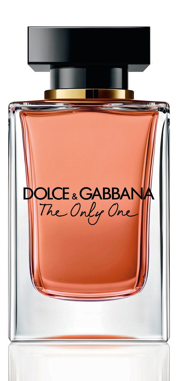 The Only One de Dolce & Gabbana