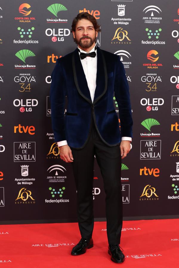 Los más guapos de los premios Goya 2020