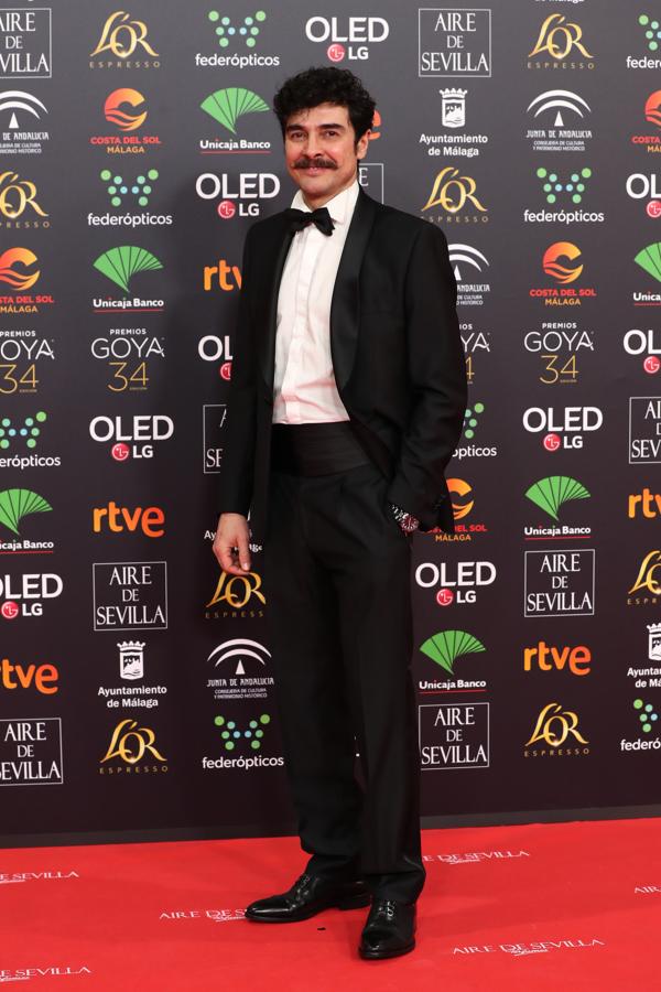 Los más guapos de los premios Goya 2020