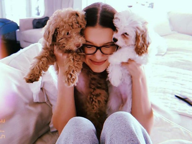 Millie Bobby Brown no puede parar de achuchar a dos cachorros. Uno de ellos (el marrón) es Winnie, su perro terapéutico.