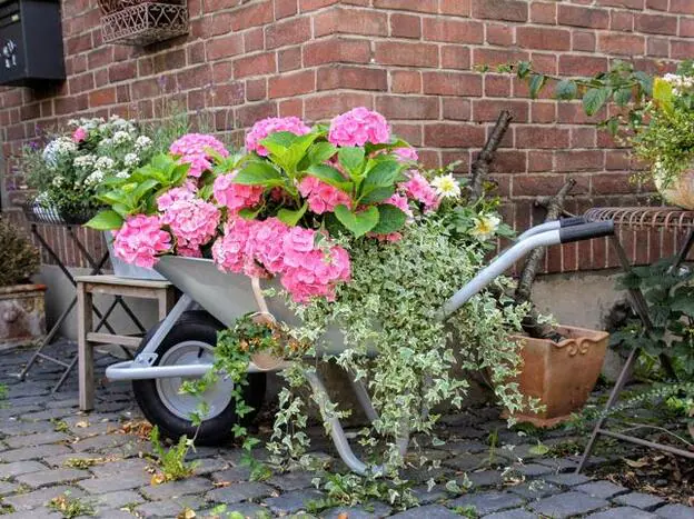 Cómo cuidar las y flores de tu jardín o terraza antes de que termine el verano | Mujer Hoy