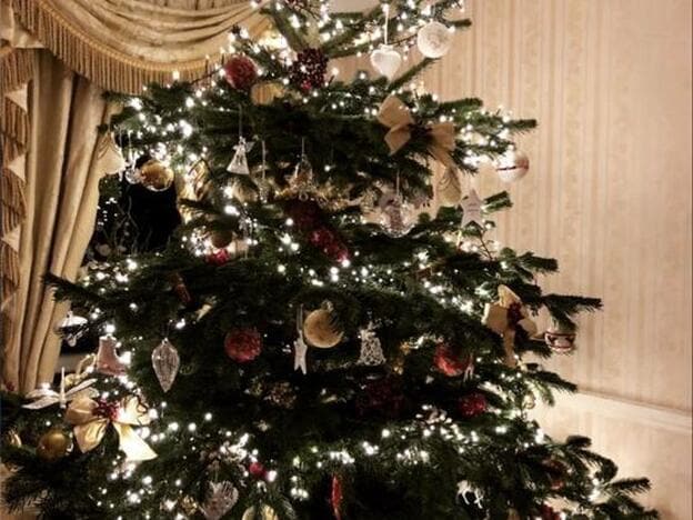 El vídeo viral que demuestra que llevamos poniendo mal las luces del árbol de Navidad toda la vida
