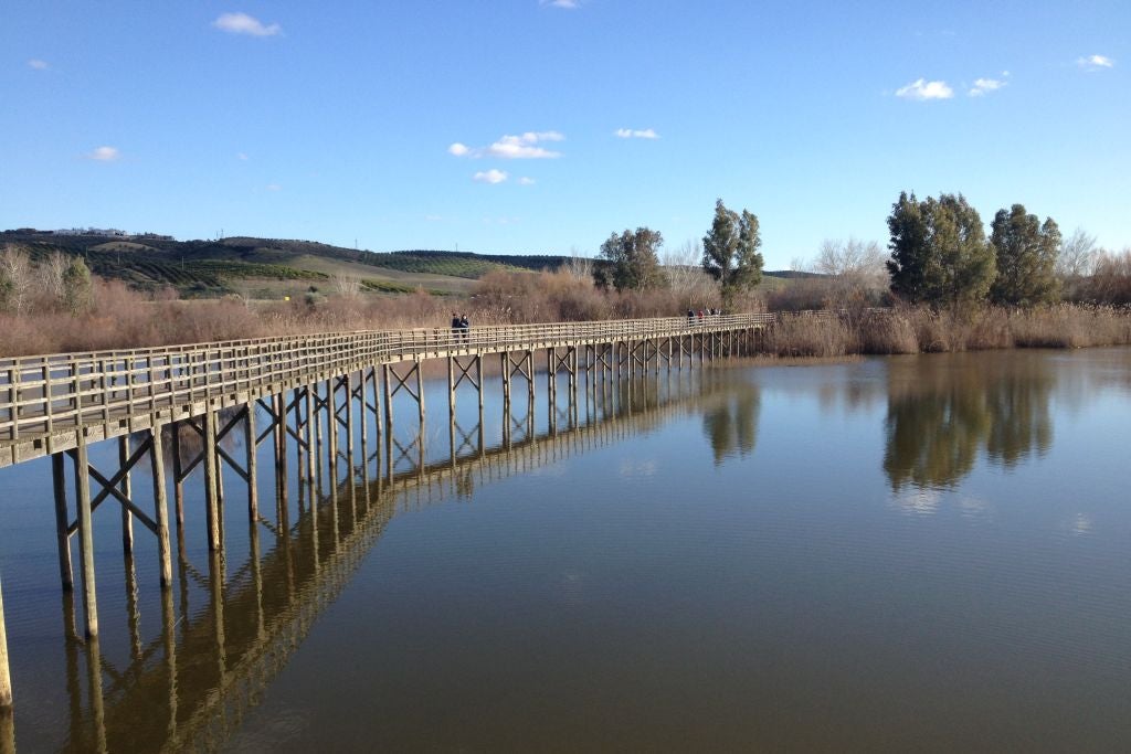 Laguna de Las Doblas, Sevilla