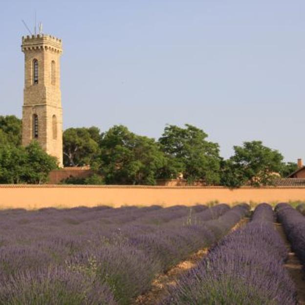 Imehen de la Dehesa de los Llanos