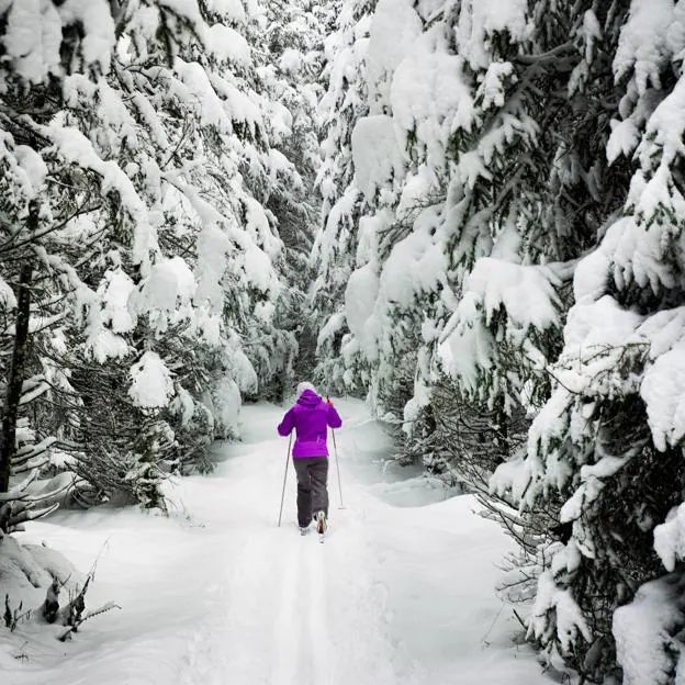 Sierra Nevada, Cuándo abren las de esquí y las pistas de nieve más importantes de | Mujer Hoy