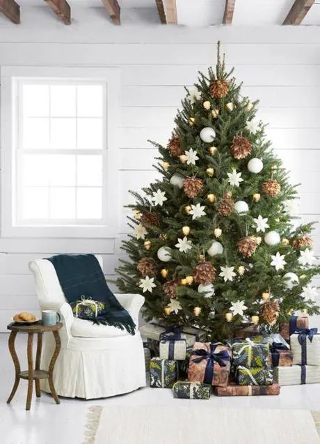 Estos son los árboles de Navidad naturales más especiales para decorar tu  casa - Foto 1