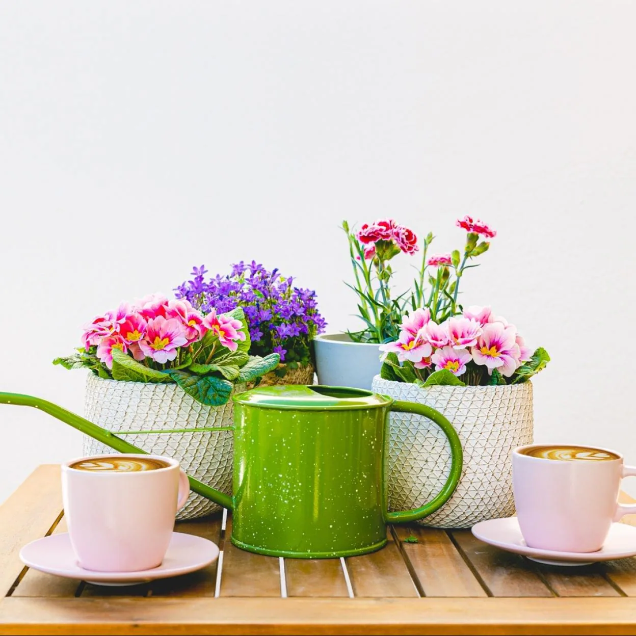Ideas para decorar con plantas y darle un toque verde a tu casa
