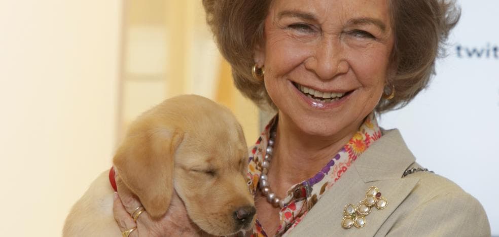 El otro enfrentamiento entre la reina Letizia y la reina Sofía: por qué los perros son los mejores amigos de la emérita y los peores de la madre de Leonor