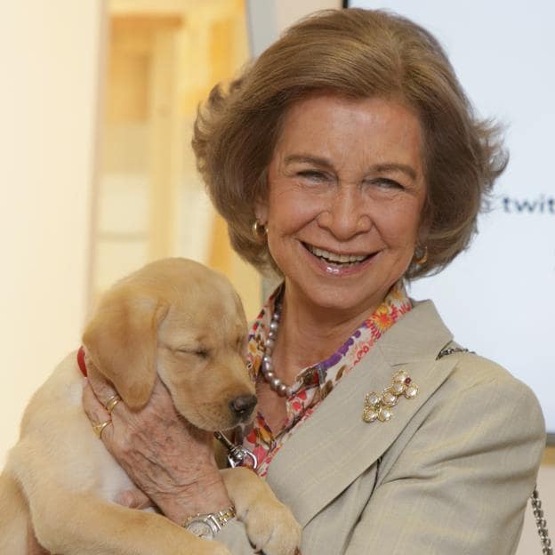 El otro enfrentamiento entre la reina Letizia y la reina Sofía: por qué los perros son los mejores amigos de la emérita y los peores de la madre de Leonor