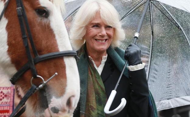 La reina Camilla posa baj la lluvia y junto a un caballo en un acto benéfico reciente. 