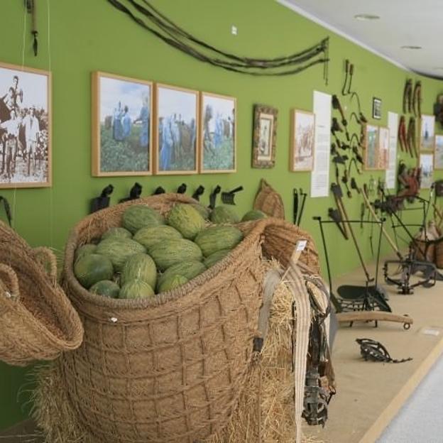 Museo del Melón