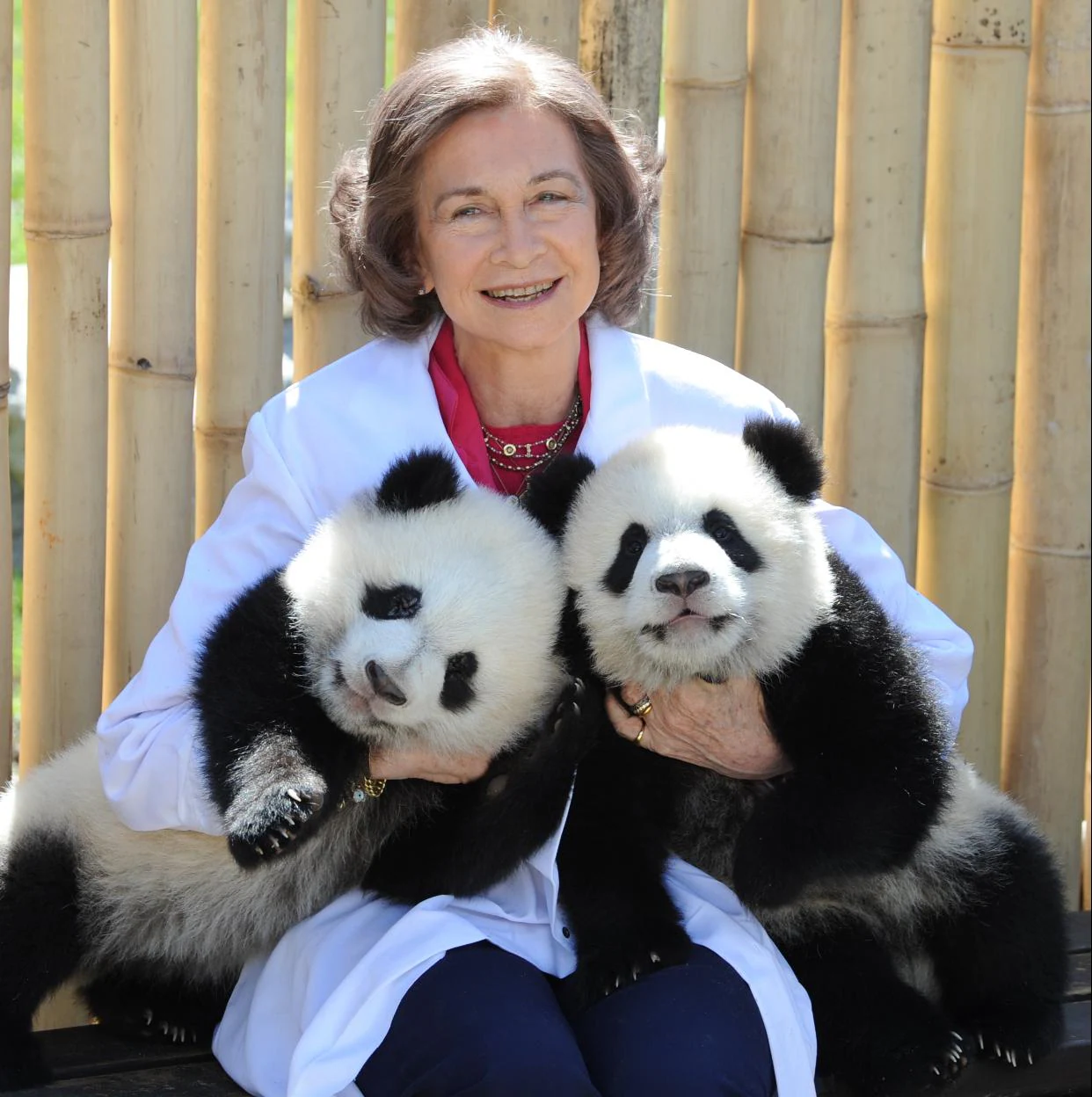 Reina Sofía con osos pandas/getty