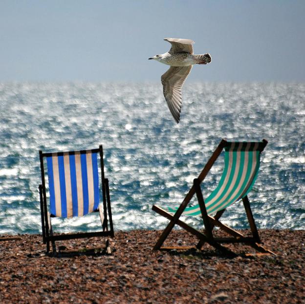 Disfrutar de la playa sin dejar de ejercitar la mente es posible con los cuadernos de actividades para adultos, un entretenimiento adictivo.