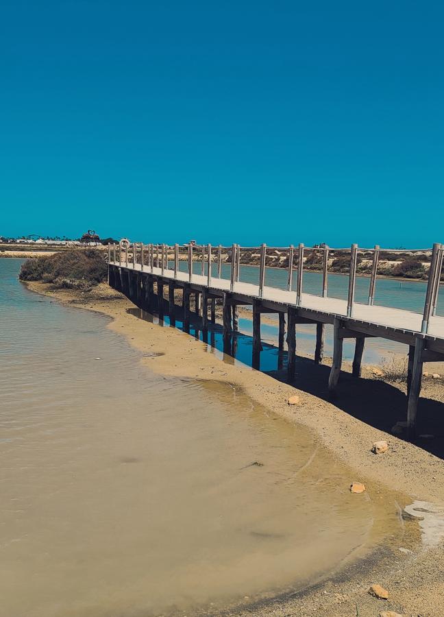 Vista de la Salina de Santa Teresa, un espacio en el que naturaleza, cuidados y gastronomía se unen para disfrute del visitante. / AFL