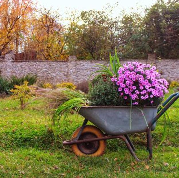 Cuatro cuidados básicos que necesitan las plantas de tu terraza y el césped del jardín en los meses fríos