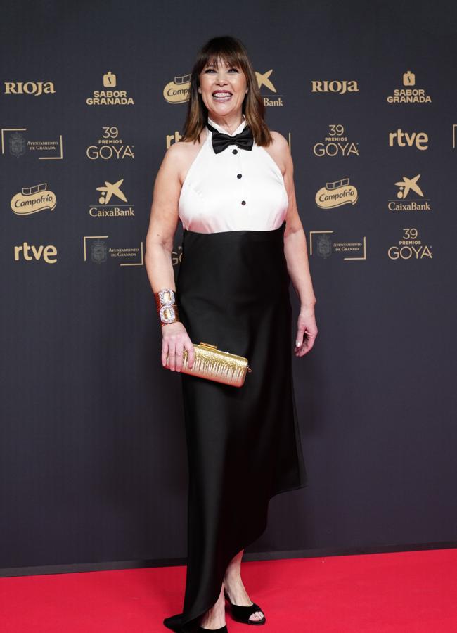 Todos los looks de los Premios Goya 2025 (LIMITED PICTURES)