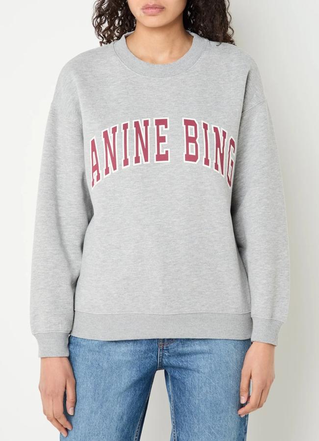 Sudadera en gris de Anine Bing (200 euros).